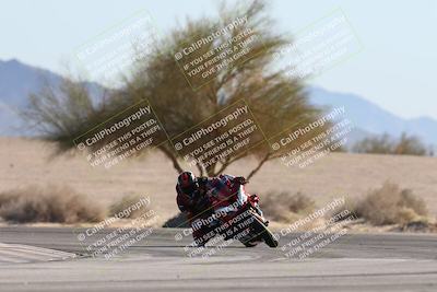 media/Jan-10-2026-Race Pace (Sat) [[3e4fee349c]]/2-Verified/Session 2 (Turn 4 Tree of Life)/